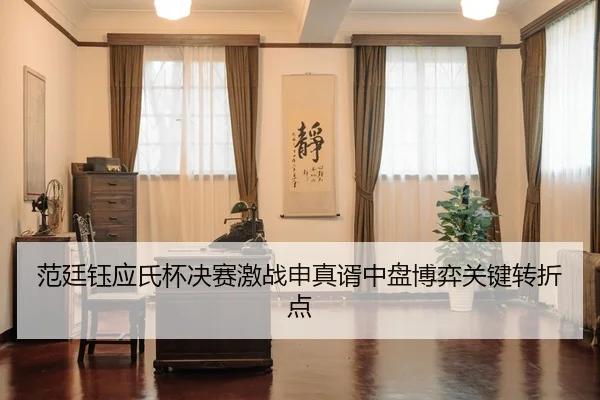 范廷钰应氏杯决赛激战申真谞中盘博弈关键转折点