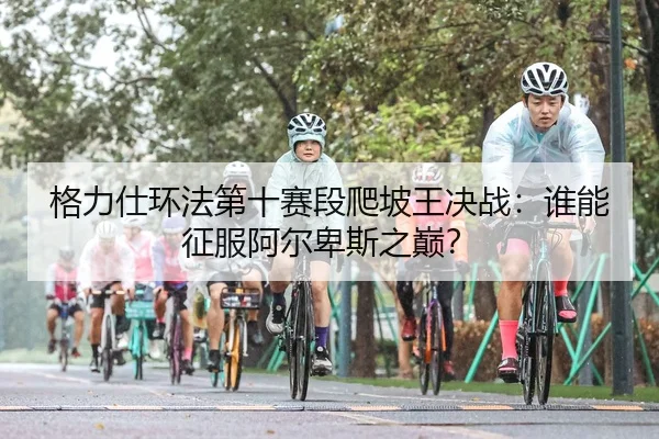 格力仕环法第十赛段爬坡王决战：谁能征服阿尔卑斯之巅？